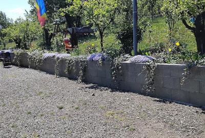 Teren de 6000 mp, în Fălticeni - 2