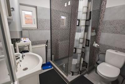 Vila Individuala 4 camere + Anexa Otopeni - 22