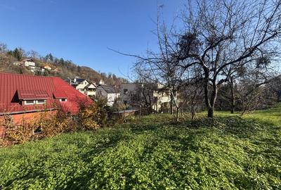 Teren de vanzare Valea Rosie - 2