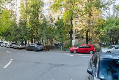 Apartament luminos complet mobilat vis a vis de Parcul Moghioros - 14