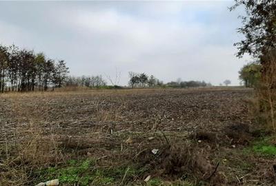 Teren de 1840 mp, în Gheorghe Lazăr