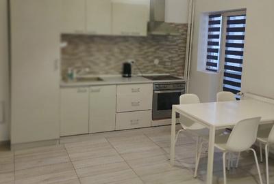 Proprietar inchiriez apartament 3 camere ultracentral mal Bega Alpinet Catedrală - 7