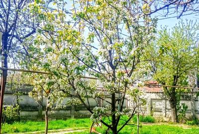 Casă cu 3 camere cu Teren 390 Mp în Jiului - 3