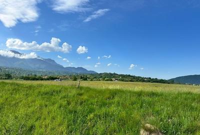 Superb Teren 10.000mp | deschidere 57ml | utilitati - 6