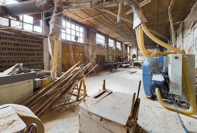 Fabrica prelucrare lemn de vanzare – Lipova, Arad - 23