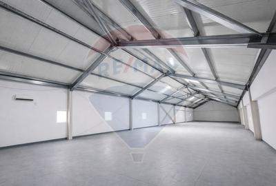 Spațiu industrial, de 700 mp, în Pipera