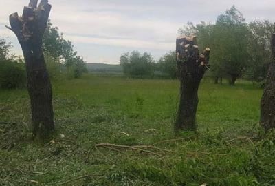 Spațiu comercial, în Central - 1