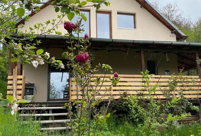 Casă cu 7 camere în Drajna - 2