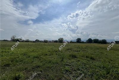 Teren intravilan de 8600 mp cu deschidere la doua drumuri in Cristian - 5
