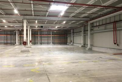 Inchiriere depozit/hala/spatiu industrial Chiajna - A1 - Centura - 6