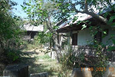 Casa taraneasca si teren comuna Murgasi sat Balota de Jos DJ - 5
