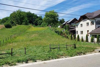 Teren de 1500 mp, în Vulcana de Sus - 1