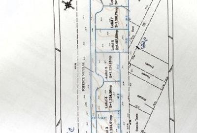 Gruiu_Lipia_Teren Intravilan langa padure - 3