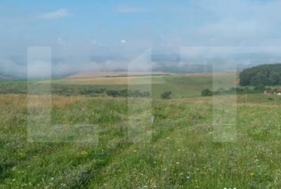 Teren de 1000 mp, în Sălicea - 2