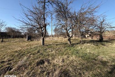 Casă cu 2 camere cu Teren 1605 Mp în Boroșneu Mare - 8