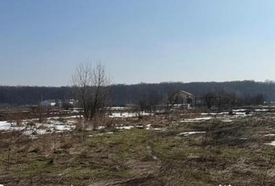 Teren în Domnești - 1