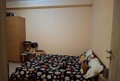 Apartament cu 2 camere, mobilat în Ozana - 11