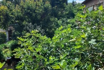 Apartament cu 2 camere decomandat, mobilat în Central - 20