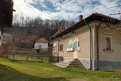 Casă cu 6 camere în Căprioru - 8