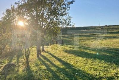 Casa  cu 10000mp de teren in Buza, la 50 km de Cluj-Napoca - 3