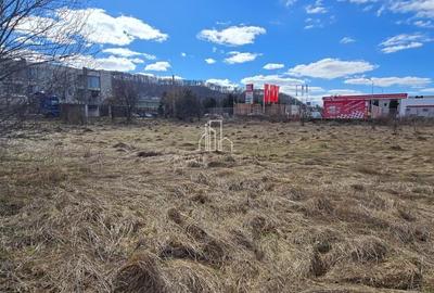 Teren Construcții intravilan de 4019 mp, în Est - 6