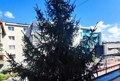 Inchiriez Apartament 3 camere,Decomandat,Ultracentral,Campina,Prahova - 1