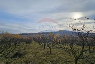 Teren extravilan 10,791mp Falticeni / Strada DJ209A, Opriseni - 7