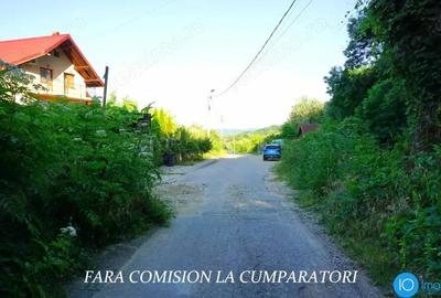 TEREN 6700 MP, INTRAVILAN LANGA PADURE - 8