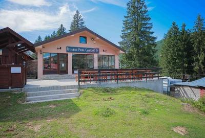Oportunitate de investitie, Restaurantul Piatra Graitoare,Vartop,Bihor - 4
