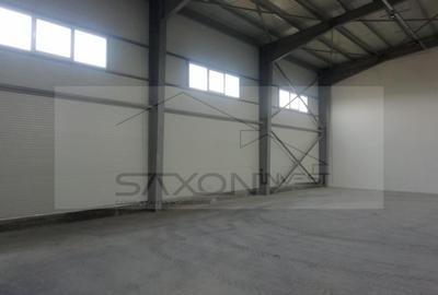 Hala depozitare sau productie   Drumul intre Tarlale,  600MP - 8