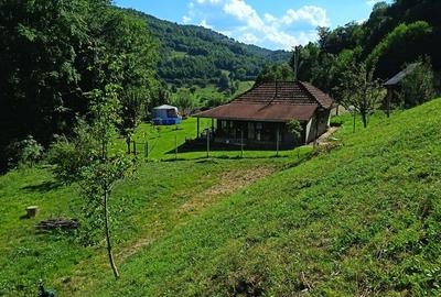 Casă cu 2 camere în Munteni - 7