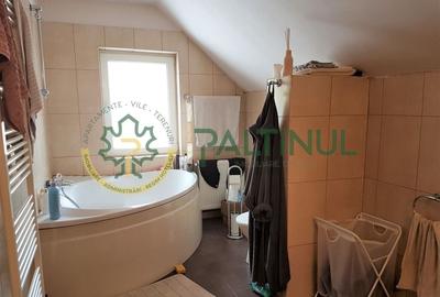 Vila Șelimbăr - 700 mp teren, jacuzzi, semineu, front stradal 30 ml - 15