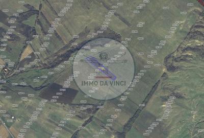 Teren de 38000 mp, în Borșa - 7