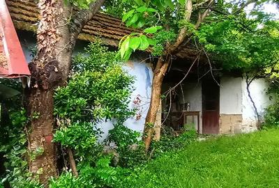 Vand proprietate in Vadu Cri?ului, jud. Bihor - 6