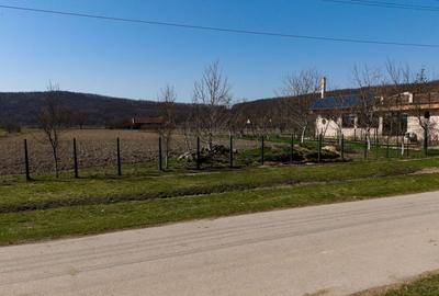 Teren Construcții intravilan de 2970 mp, în Odvoș - 1