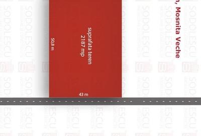 TEREN MOSNITA VECHE - VATRA VECHE 1183 MP - 2