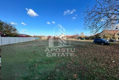 Teren Construcții intravilan de 1000 mp, în Peciu Nou - 2