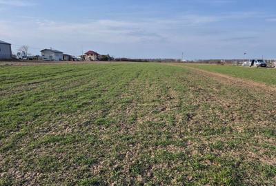 Teren de 5000 mp, în Gulia - 7