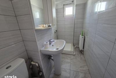 Apartament cu 2 camere în Banat - 4