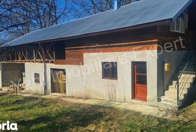 Casă cu 3 camere cu Teren 9815 Mp în Valea Iașului - 14