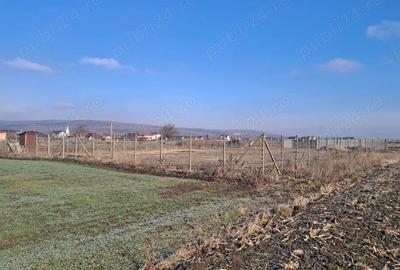 Teren de 8700 mp, în Livada (Iclod) - 4