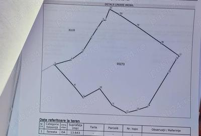 Teren 13.643 mp intravilan de vanzare in Curtea de Arge?. - 1