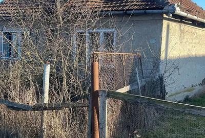 Teren de 2881 mp, în Ciuperceni - 8