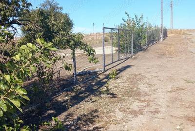 Casă cu 5 camere cu Teren 3100 Mp în Botoroaga - 4