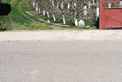 Casă cu 3 camere cu Teren 2800 Mp în Central - 1