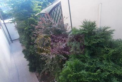 Casa perfecta in Bucure?ti - 2