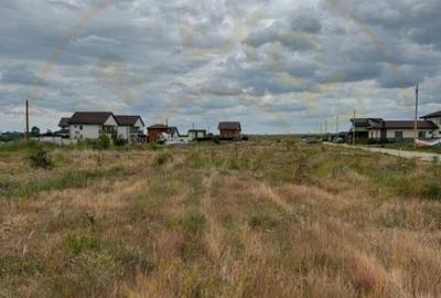 Teren 10.000 mp - Str. Octavian Goga, Craiovei! Teren 10.000 mp - Str. Octavian Goga, Craiovei! - 4