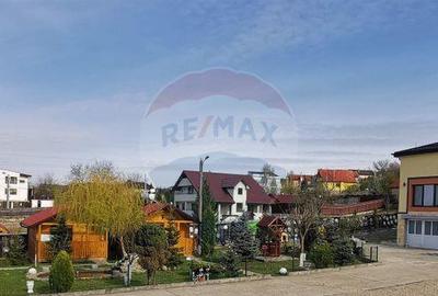 Spațiu comercial, de 750 mp, în Făget - 1