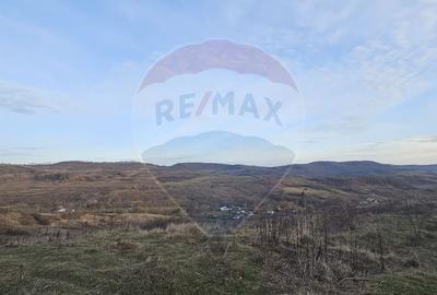 Teren de 2500 mp, în Odobești - 1