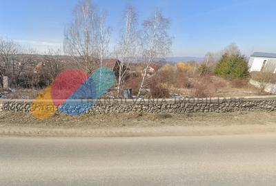 Teren Construcții intravilan de 5800 mp, în Sălicea - 1
